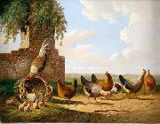 unknow artist Cocks 059 oil painting reproduction